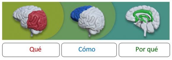 Diseño Universal del Aprendizaje: Herramientas para el Cómo de la Inclusión Educativa