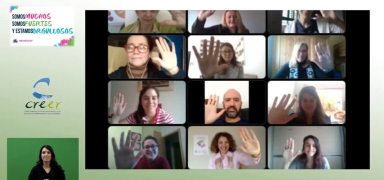 Imagen de la videoconferencia