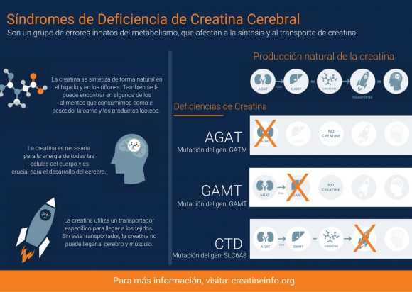 Síndromes de deficiencia de creatina cerebral